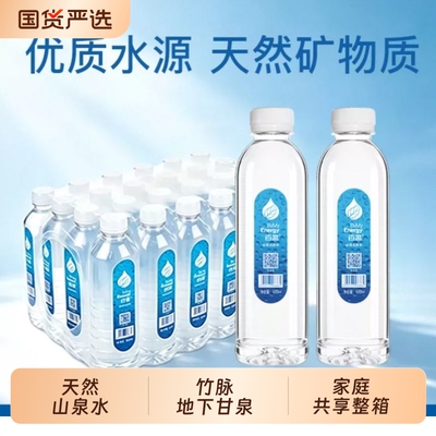 天然山泉水含矿物质500ml*24/12