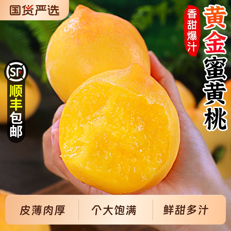 黄桃桃子新鲜水果当季整箱时令大果黄金蜜水蜜毛桃脆甜桃顺丰包邮