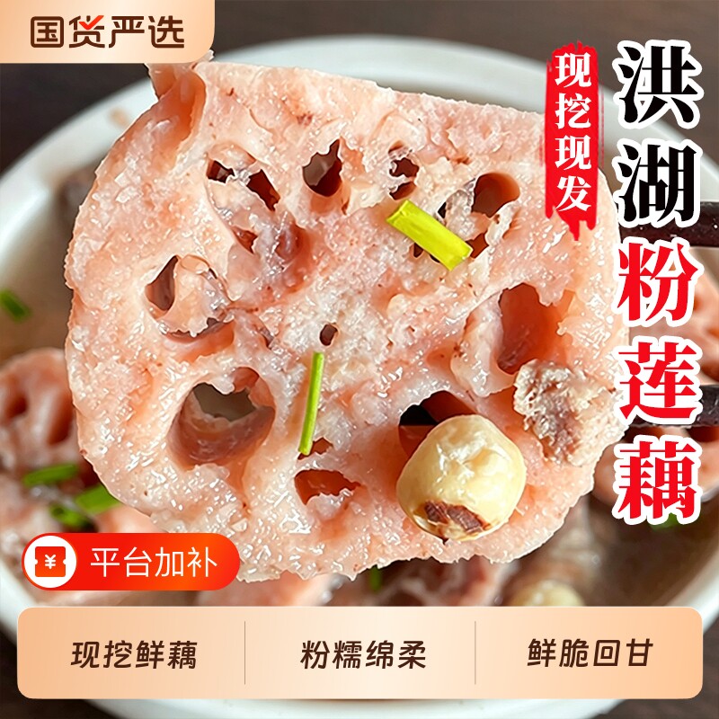 正宗洪湖莲藕新鲜现挖糯米藕煲汤粉糯炖汤湖北九孔七孔粉藕莲藕