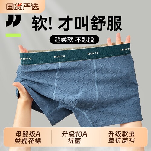 青少年A类棉内裤四角平角短裤