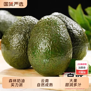 牛油果新鲜水果顺丰正宗云南孟连哈斯当季15枚整箱一级鳄梨包邮
