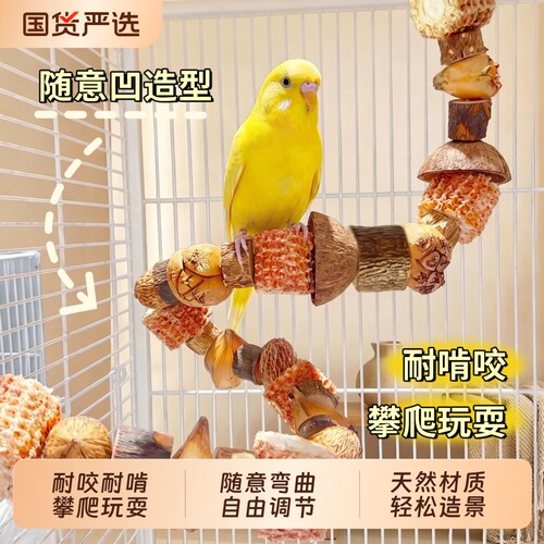 【鹦鹉站杆】啃咬磨牙攀爬玩耍