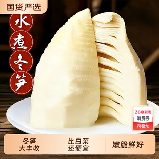 过年水煮冬笋新鲜野生清水笋袋装笋尖火锅笋零食竹笋蔬菜国货严选