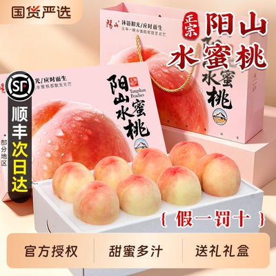 正宗无锡阳山水蜜桃子水果新鲜整箱当季桃水密桃端午礼盒顺丰现摘