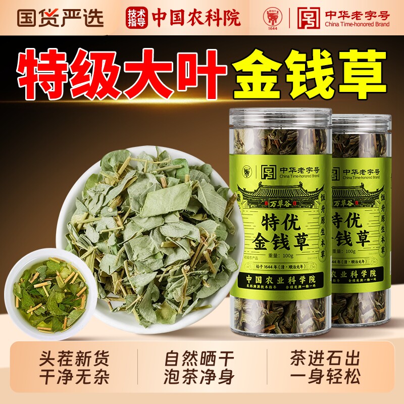 特级金钱草正宗野生大叶金钱草中草药茶泡水喝正品中药材新鲜