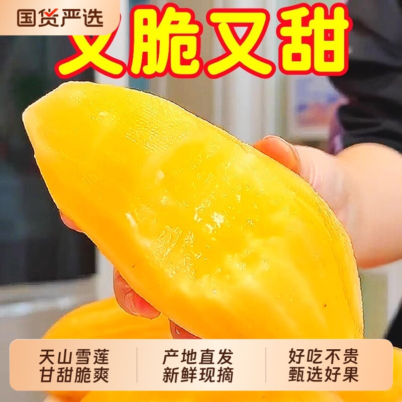 云南天山雪莲果红心雪莲果1/3/5/9斤新鲜脆甜水果红肉现挖一箱