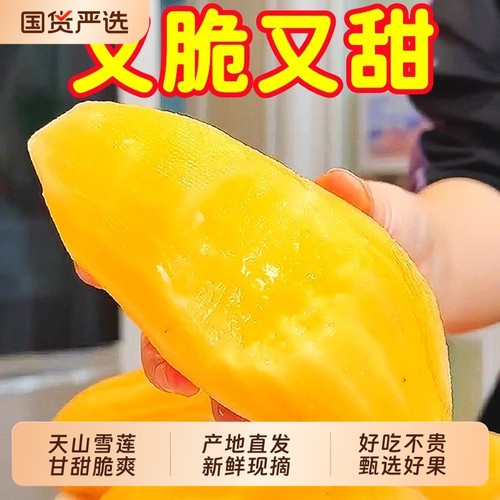 云南天山雪莲果红心雪莲果1/3/5/9斤新鲜脆甜水果红肉现挖一箱