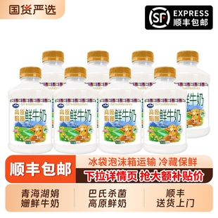 青海湖高原娟珊鲜牛奶500ml*8瓶巴氏杀菌早餐奶青藏高原鲜奶冷藏