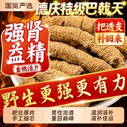德庆巴戟天特级抽芯巴戟天中药材官方旗舰店古法制巴戟天煲汤泡酒