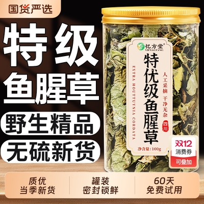 【特级】鱼腥草中药材正品干货