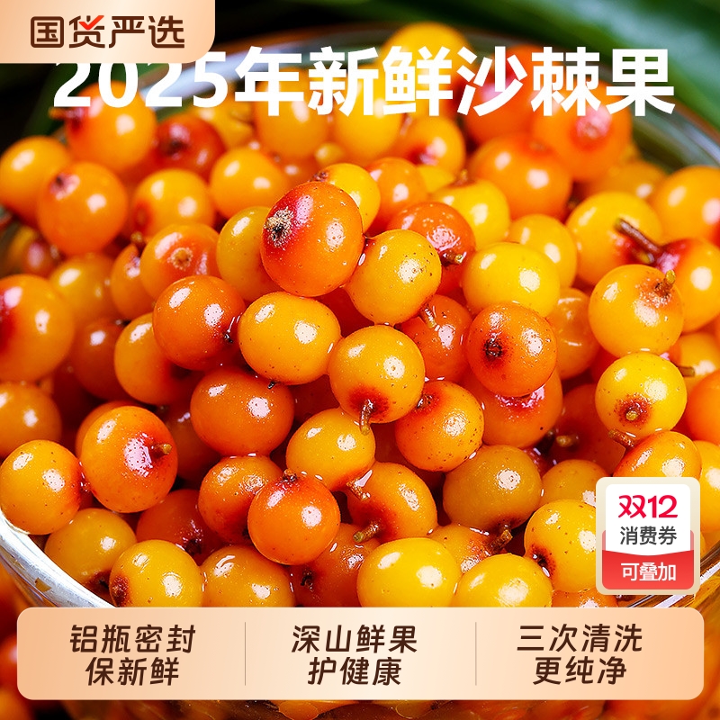 野生新鲜沙棘果包邮精选沙刺鲜果正品官方旗舰店原浆酵素榨汁