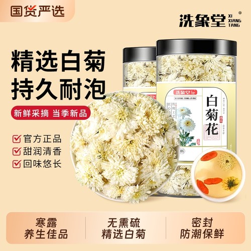 杭白菊白菊花泡茶黄菊胎菊花草茶