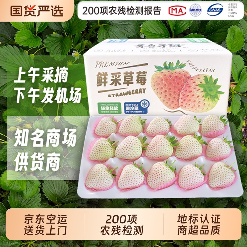 淡雪白草莓礼盒装白雪公主新鲜水果高端礼物白色生日礼物空运配送,水产肉类/新鲜蔬果/熟食,草莓,淘宝优惠券,粉丝福利购,淘宝优惠卷