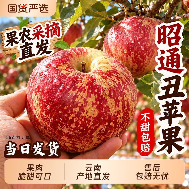 云南昭通丑苹果正宗冰糖心红富士新鲜水果应季当季整箱产地直发