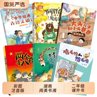 理想童声琅琅中华经典 故事笨狼 古诗文诵读鸡毛鸭和鸭 大头儿子和小头爸爸真假恐龙笨狼 湖南阅美书湘二年级两个小八路全彩精编版