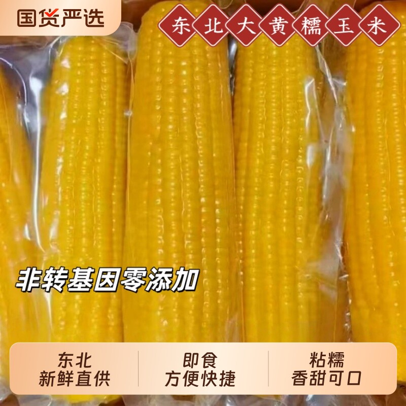 2026头茬东北黄糯玉米香甜黏糯图片