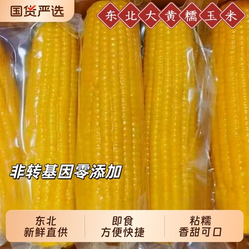 2026头茬东北黄糯玉米香甜黏糯