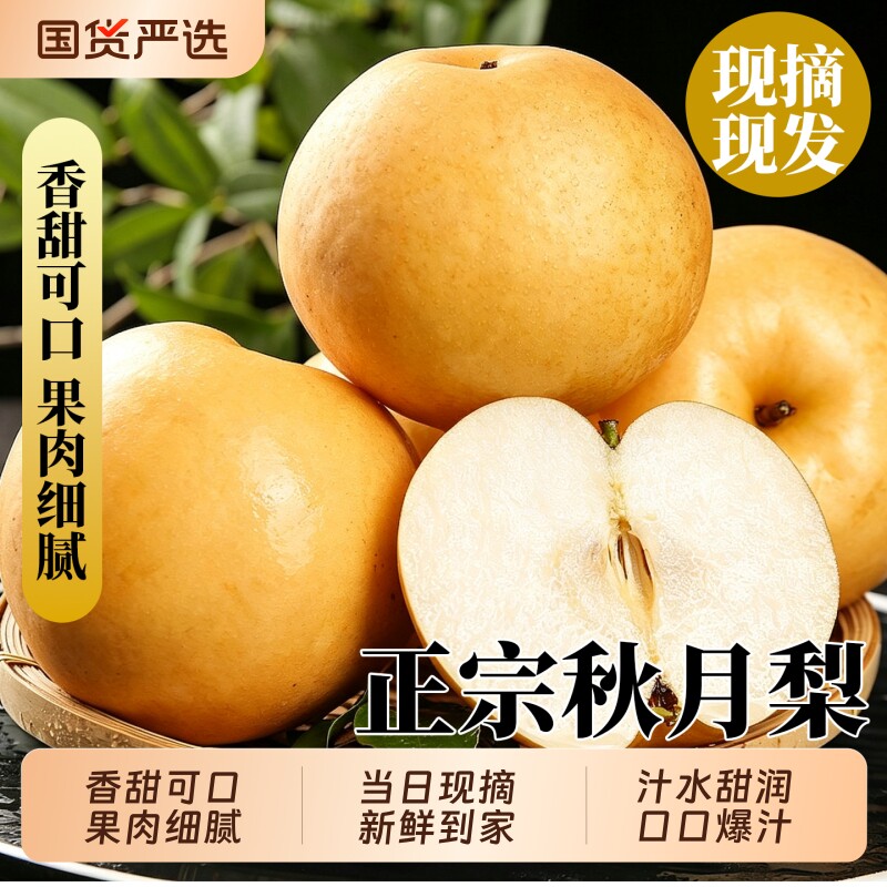 山东秋月梨正宗新鲜冰糖梨子甜现摘当季水果整箱包邮送礼佳品9斤