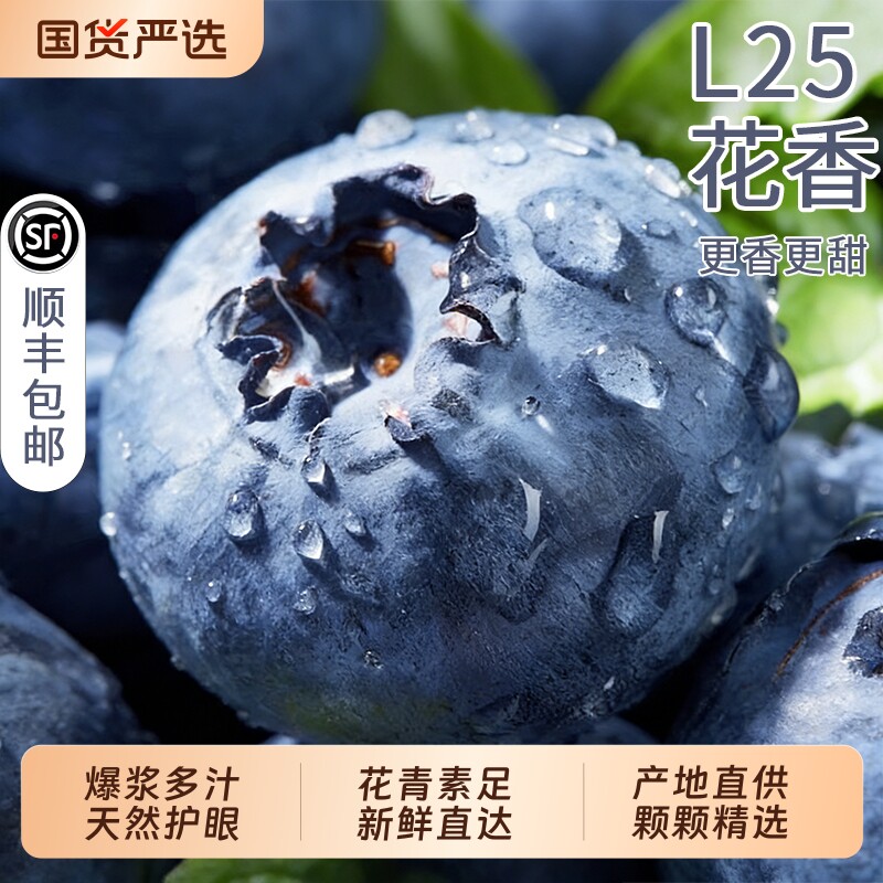 云南蓝莓高山L25花香新鲜水果当季现摘大果鲜果旗舰店顺丰次日
