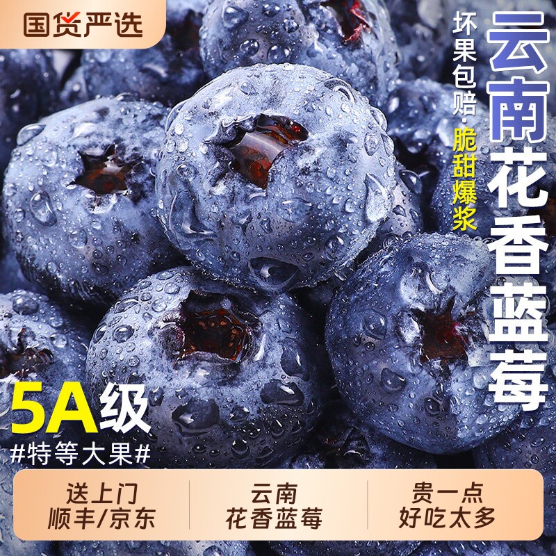 云南高山L25花香蓝莓鲜果当季新鲜水果现摘怡颗大果整箱包邮纯甜