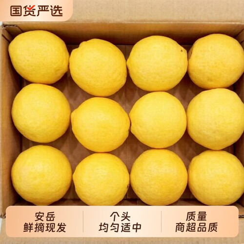 四川安岳黄柠檬片新鲜采摘皮薄多汁水果切片泡水多规格发货精选