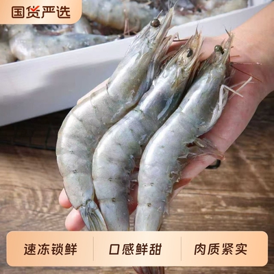 活冻大虾单只独立冷冻海虾对虾生鲜水产家用烧烤聚餐海产大虾