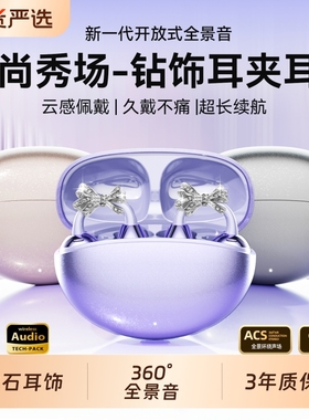 柏林之音耳夹式耳机蓝牙2025新款气骨传导降噪运动无线不入耳高端