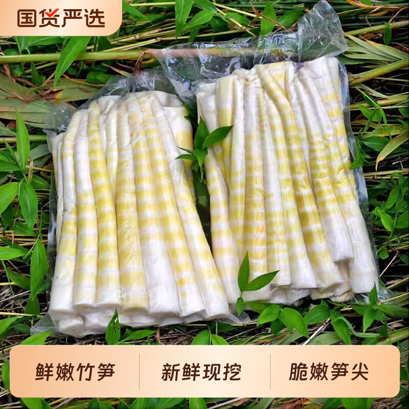 江西竹笋新鲜夏笋袋装脆嫩笋尖清水竹笋嫩笋尖笋火锅串串食材泡椒
