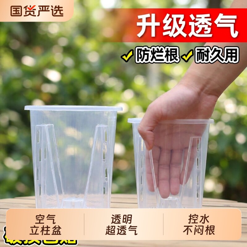 透明控根蝴蝶兰花盆兰花水苔透气桌面阳台塑料树脂托盘空气柱绿植