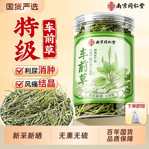 南京同仁堂车前草野生中药材泡水喝的功效作用干货官方旗舰店正品