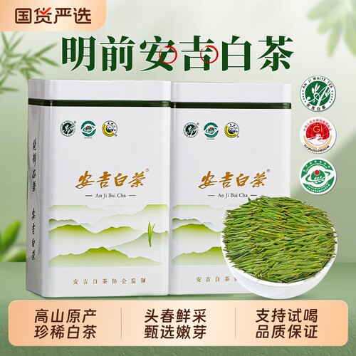 安吉白茶2026新茶叶特级明前绿茶