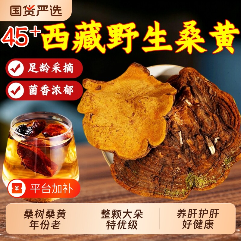 西藏野生桑黄中药材桑树桑黄特级45年+整朵桑黄灵芝泡茶养肝护肝