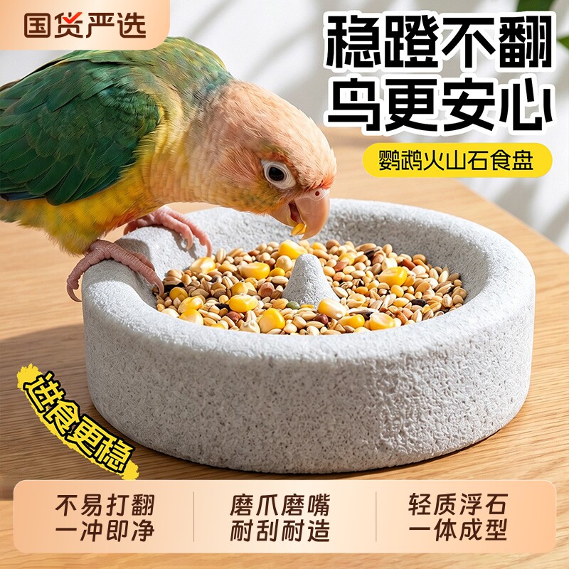 【抖音爆款】火山石鹦鹉食盆图片