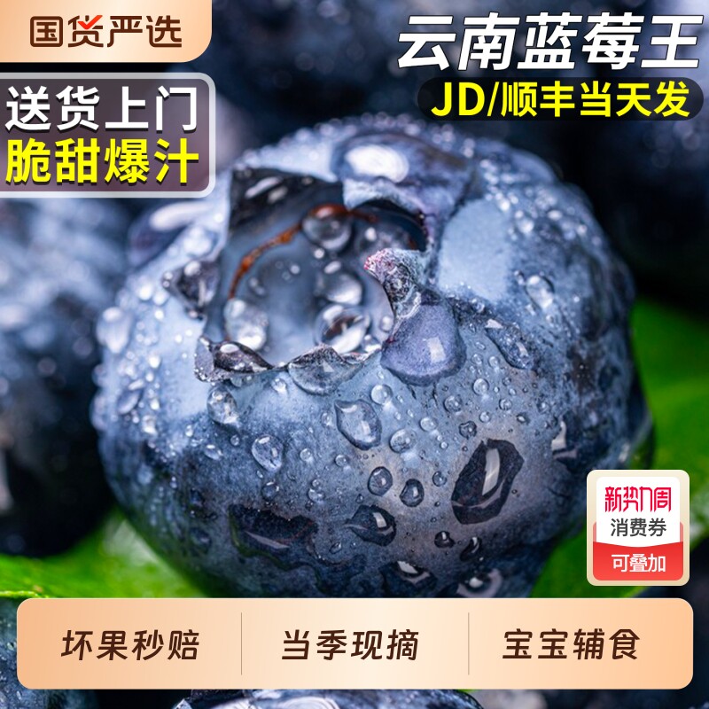 高山云南蓝莓新鲜水果鲜果高端当季现摘花香怡颗整箱包邮大果采摘