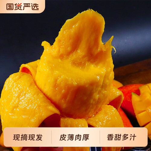 海南贵妃芒果新鲜水果当季热带特产红金龙应季整箱小芒果现摘香蕉