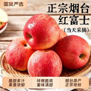 地标授权山东烟台红富士苹果4.5斤