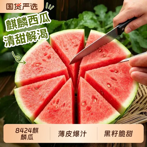 正宗8424冰糖麒麟西瓜薄皮黑籽当季西瓜新鲜水果整箱批发大瓜脆甜