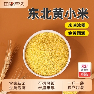 东北农家黄小米赤峰新米胃养小米粥小黄米五谷杂粮粘粮食真空优质