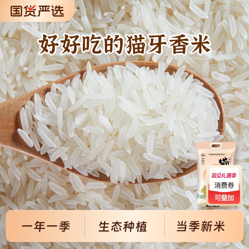 瑶珍猫牙香米优质大米一级长粒香米真空包装炒饭煲仔饭5斤装
