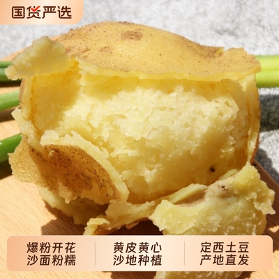 甘肃定西沙面土豆新鲜马铃薯农家洋芋批发5/9斤洋芋中大果粉糯