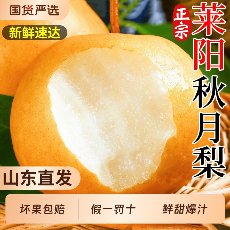 正宗山东莱阳秋月梨新鲜水果当季现摘冰糖梨子甜精品蜜梨整箱包邮
