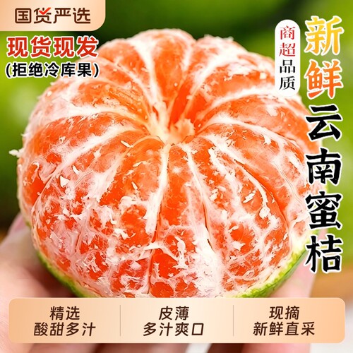 云南蜜桔新鲜水果5斤青皮蜜橘