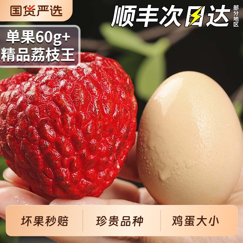 顺丰速发 海南荔枝王5斤新鲜水果当季现摘巨无霸火山口岩整箱包邮