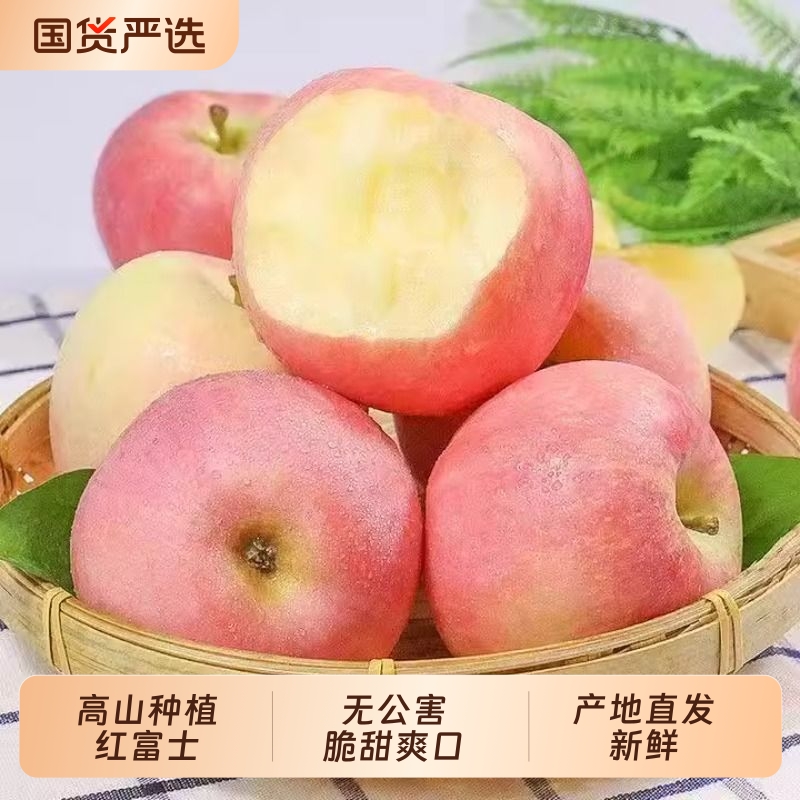 果中邢山西万荣红富士苹果脆甜