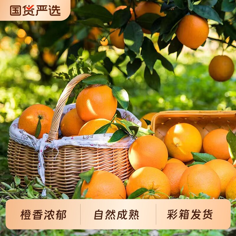 江西赣南脐橙赣州新鲜当季水果安远橙子柑橘整箱装年货节大果精选