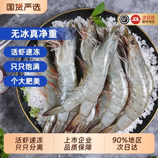 龙霸盐冻白虾大虾3040鲜活速冻冷冻特大号冻虾领补贴海洋水产新鲜