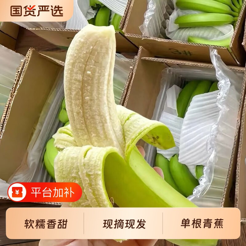广西正宗高山甜香蕉当季水果青皮绿皮单根香蕉新鲜整箱自然应季