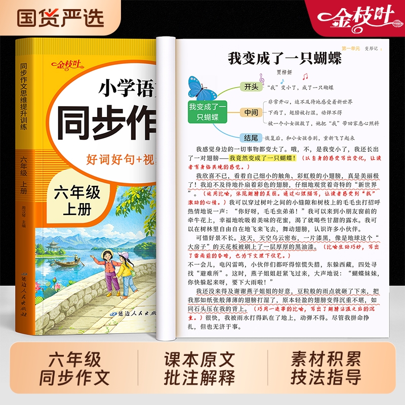 六年级同步作文大全2025新版