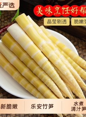 袋装小笋清水江西竹笋新鲜高山真空笋尖嫩笋火锅串串食材整箱批发