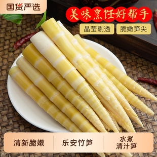 袋装 小笋清水江西竹笋新鲜高山真空笋尖嫩笋火锅串串食材整箱批发